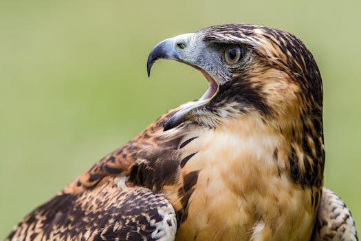  监管风暴突袭湘邮科技；信披违规立案加剧退市压力，股民维权正当其时。 股票财经