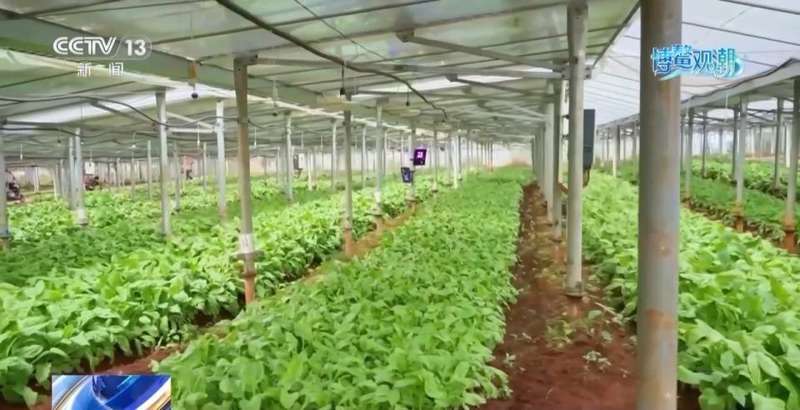  博鳌绿色实践：低碳菜单创新；光伏技术融合乡村发展。 文化旅游