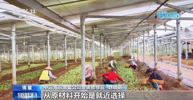  博鳌绿色实践：低碳菜单创新；光伏技术融合乡村发展。 文化旅游