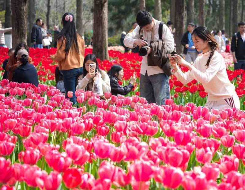  跨界融合模型：春日经济“流量”转化为“留量”的底层逻辑 IT技术