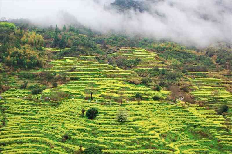  跨界融合模型：春日经济“流量”转化为“留量”的底层逻辑 IT技术