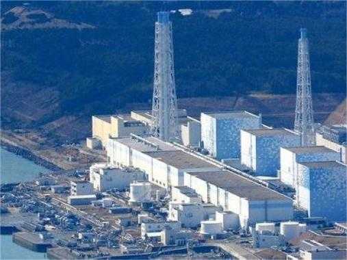  核能安全：布什尔核电站危机下的撤离实录与风险规避指南 新闻