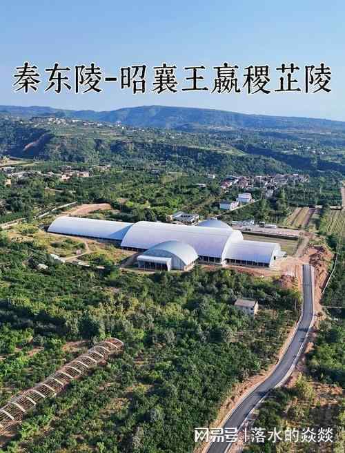  秦东陵考古新突破：「亚」字形地宫结构与56年执政的时空坐标 文化旅游