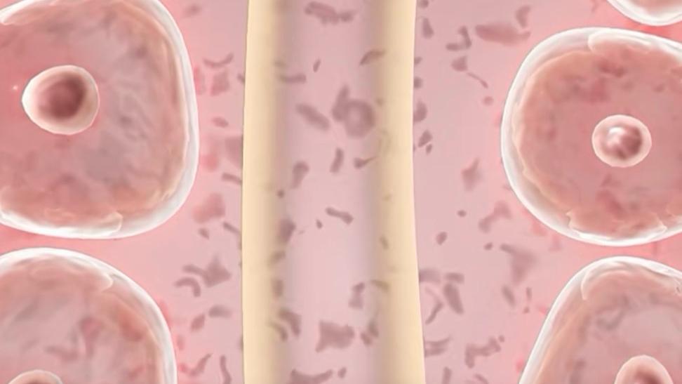 原子级精准工程:破解高温超导机理的关键钥匙 IT技术