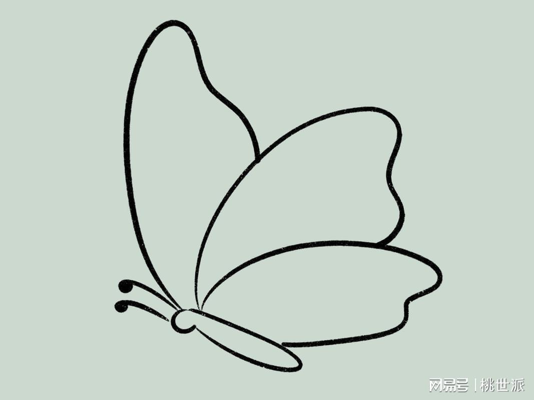 《经济案件首席律师的十四年：从司法考试到复杂诉讼的实战方法论》