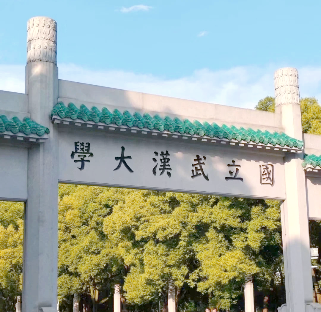  那些被机试“斩杀”的跨考人：他们不是不努力，只是选错了方向 情感心理