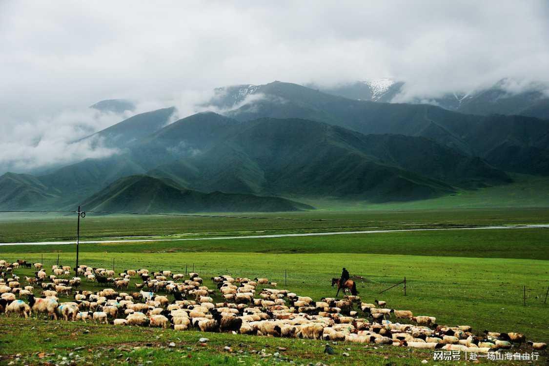  高原生态旅游规划：甘南草原六天五晚路线设计的底层逻辑 文化旅游
