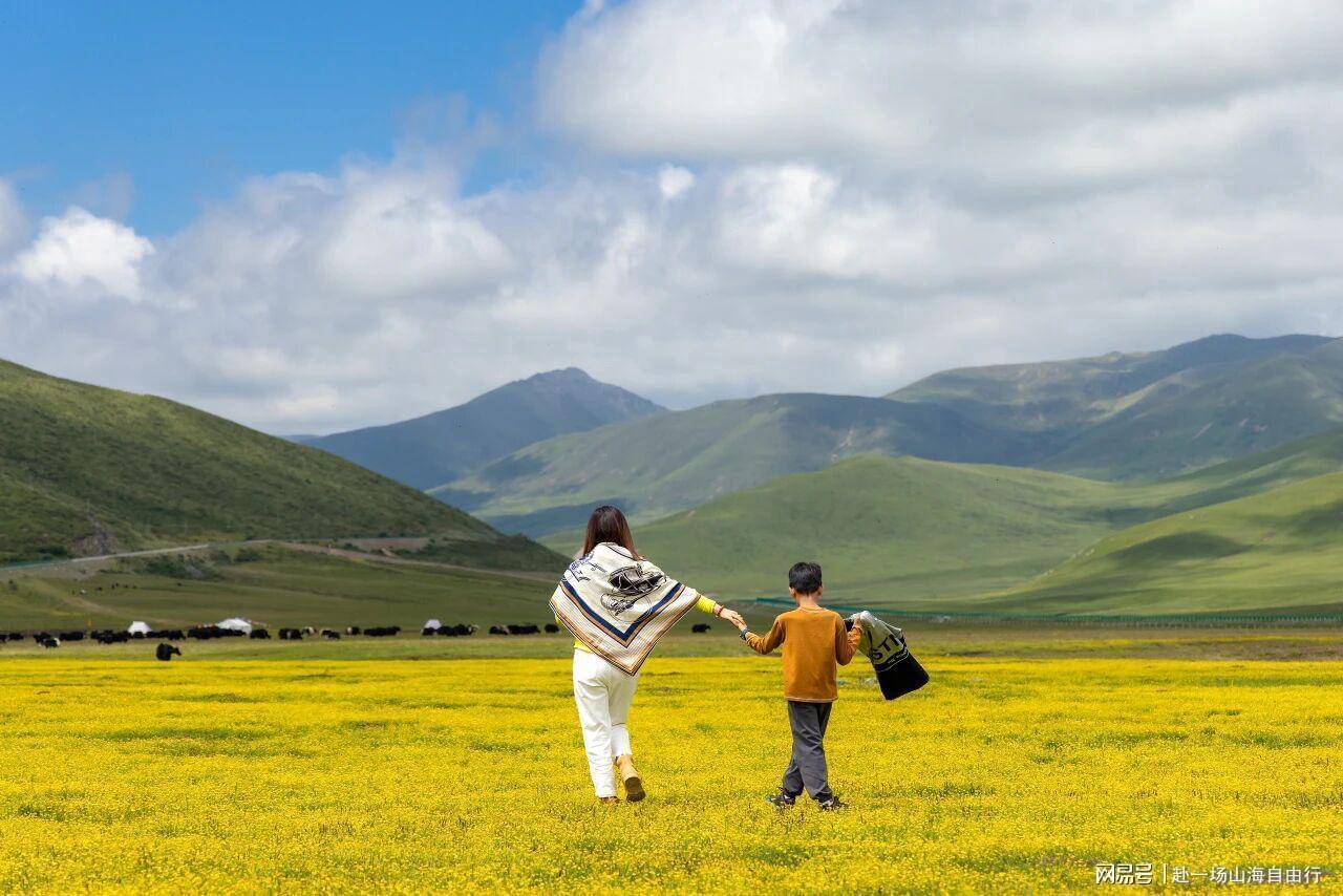  高原生态旅游规划：甘南草原六天五晚路线设计的底层逻辑 文化旅游