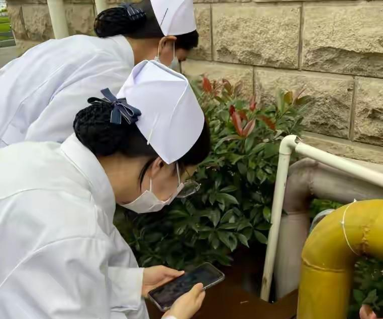  【深度调查】24岁护士付雪飞遭遇车祸离世：责任划分争议背后的法律边界与公众质疑 新闻