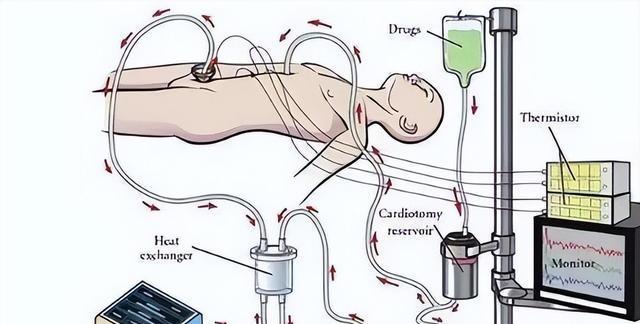  华益慰：一位肿瘤专家临终前的医学反思与治疗真相 健康养生