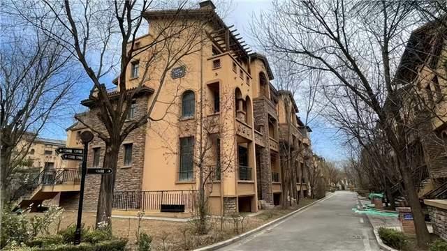  【技术解码】什川古梨园交通体系全透视：三种抵达路径的实战效率对比 文化旅游