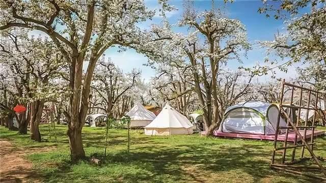  【技术解码】什川古梨园交通体系全透视：三种抵达路径的实战效率对比 文化旅游