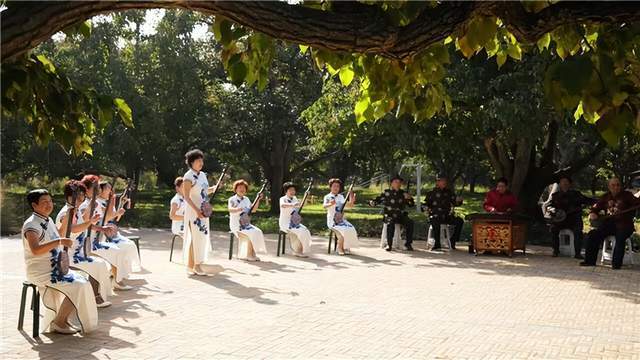  【技术解码】什川古梨园交通体系全透视：三种抵达路径的实战效率对比 文化旅游