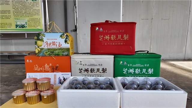  【技术解码】什川古梨园交通体系全透视：三种抵达路径的实战效率对比 文化旅游