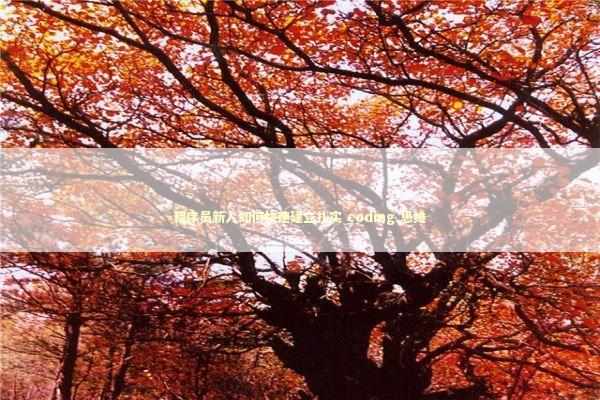 程序员新人如何快速建立扎实 coding 思维 新闻