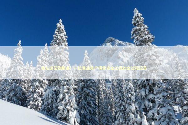 我从迷茫到精通：一位普通用户探索安全工具的全过程记录 IT技术