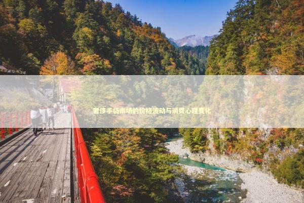 奢侈手袋市场的价格波动与消费心理变化 时尚用品