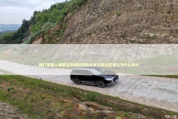 精打细算人群都在收藏的购物分享这些社区笔记为什么能火 企业服务