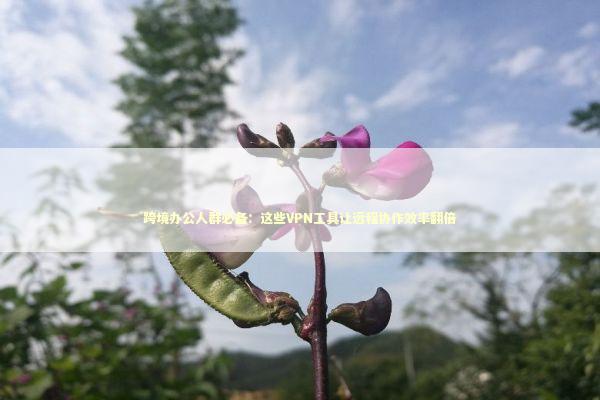 跨境办公人群必备：这些VPN工具让远程协作效率翻倍 IT技术