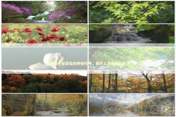 隐藏在行业深处的神秘代号，圈内人为何闭口不谈 新闻