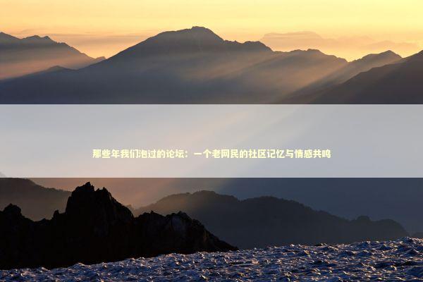 那些年我们泡过的论坛：一个老网民的社区记忆与情感共鸣 情感心理